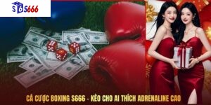 Cá Cược Boxing S666 – Kèo Cho Ai Thích Adrenaline Cao