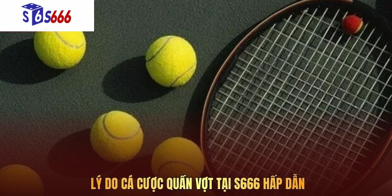 Lý do cá cược Quần Vợt tại S666 hấp dẫn